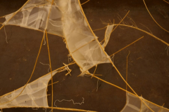 2022_Amberger-Kunstsymposium_Heike_Lepke_5651